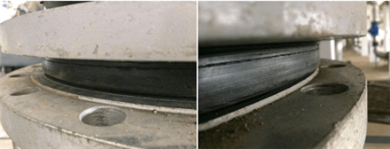 好色先生TV污版圖5圖6